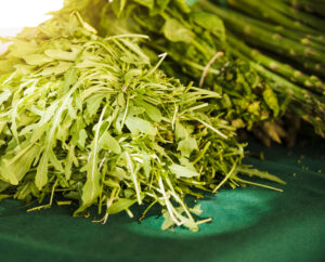 MORINGA/MUNGA/SAHAJAN (MORINGA OLIEFERA)