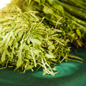MORINGA/MUNGA/SAHAJAN (MORINGA OLIEFERA)